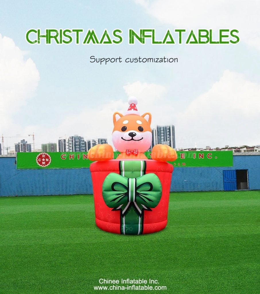 C1-251-1 - Chinee Inflatable Inc.