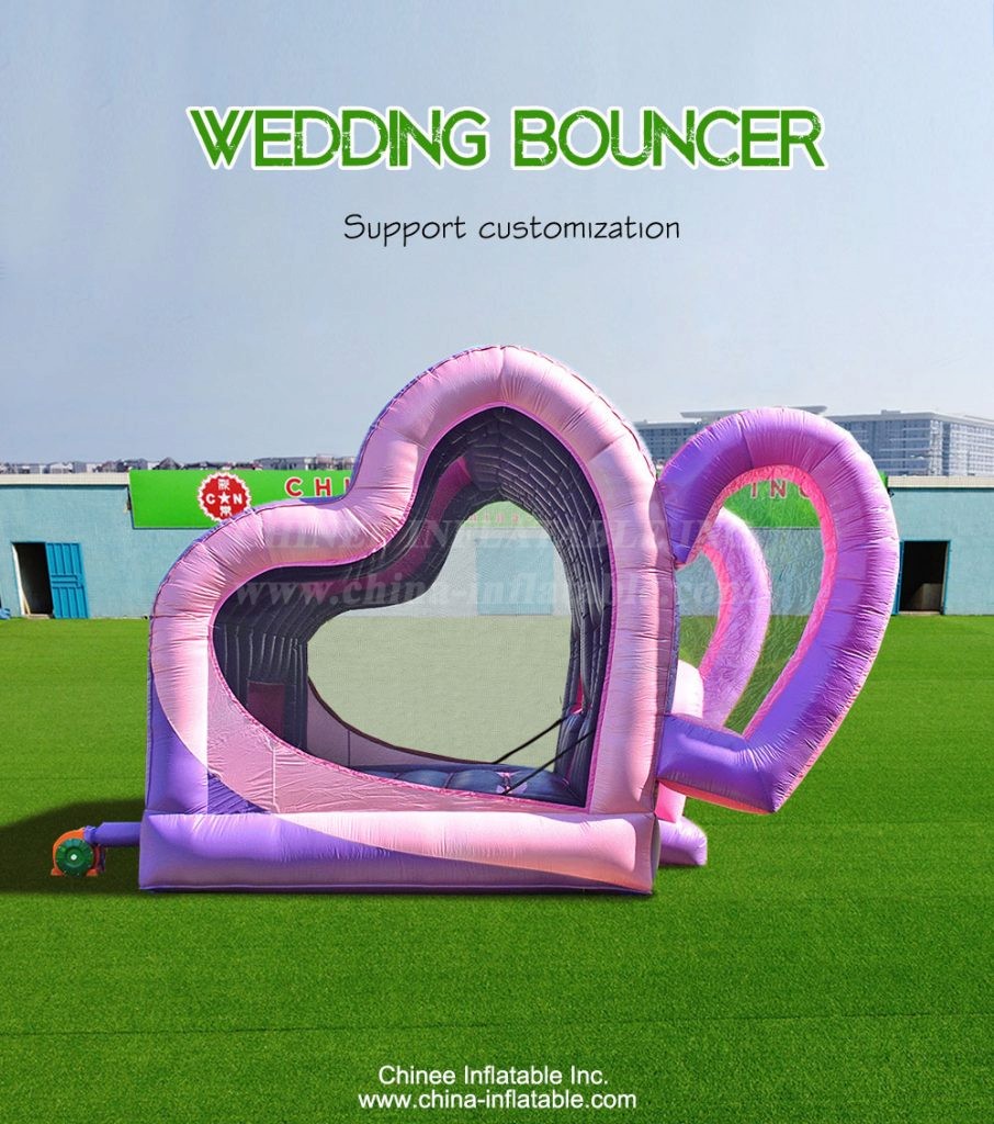 T2-3562-1 - Chinee Inflatable Inc.