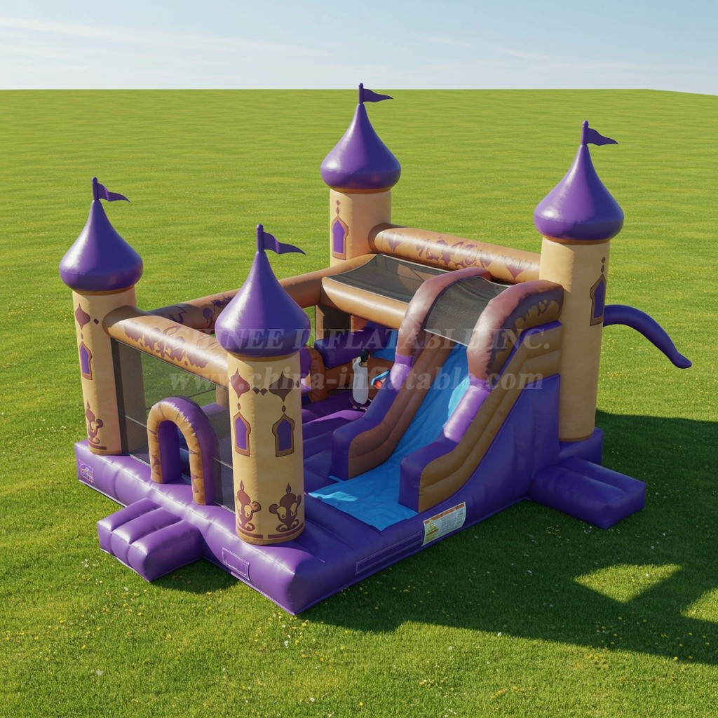 T2-8325 Aladdin Inflatable Castles