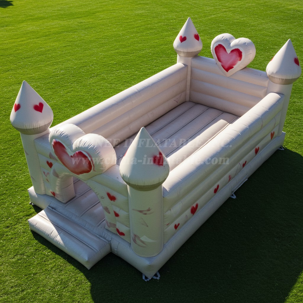 T2-8478 Wedding Bouncer