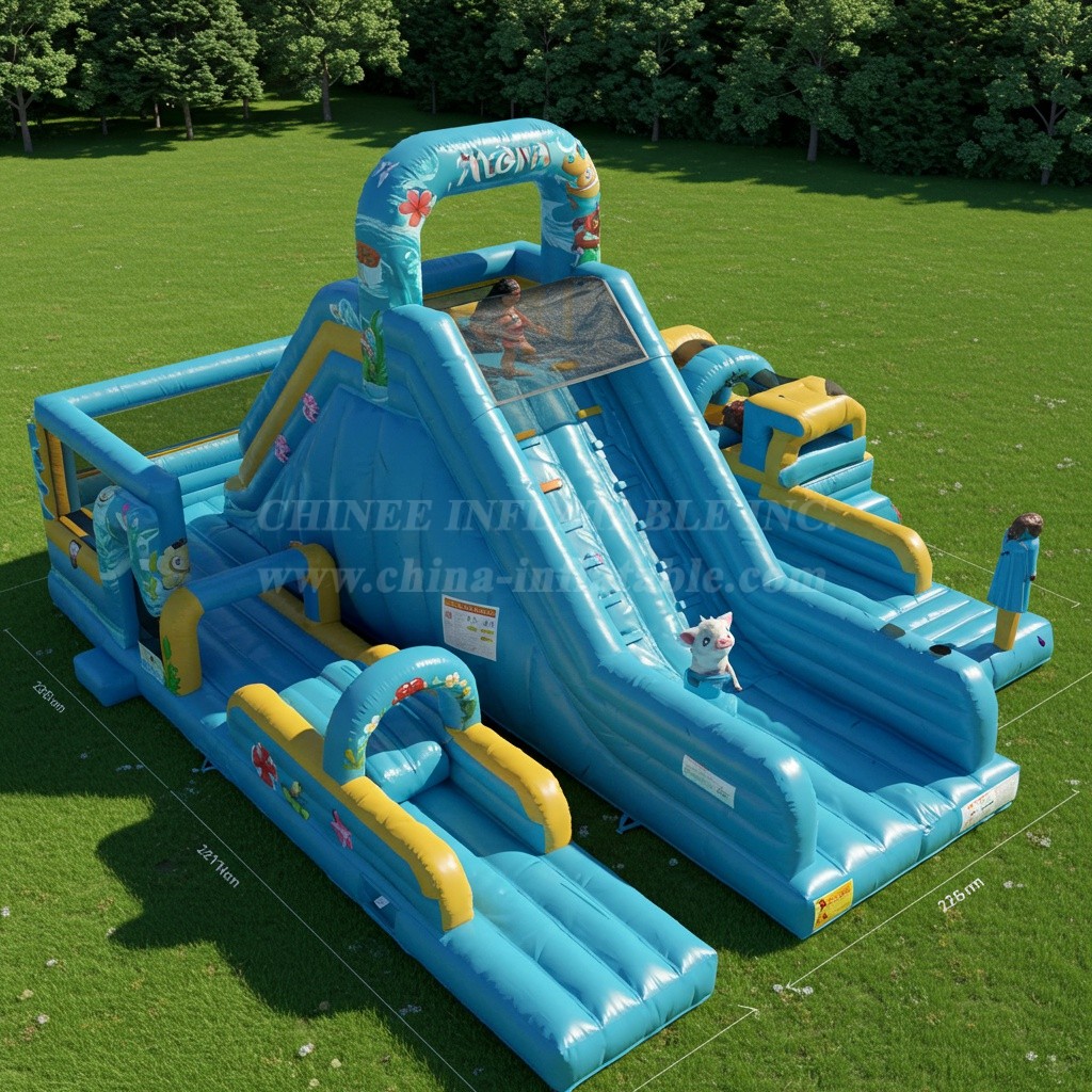 T6-6046 Moana inflatable funcity