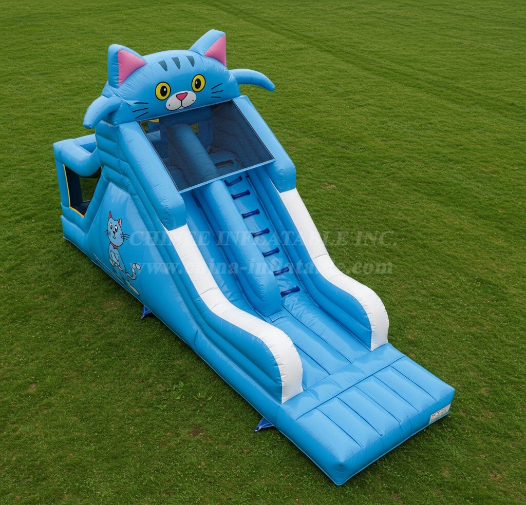 T8-8010 Cat Inflatable Dry Slide