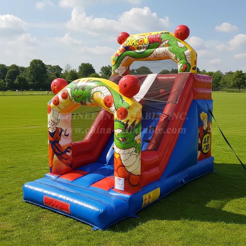 T8-8025 Dragon Ball Inflatable Dry Slide