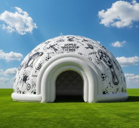 Tent1-4922 World Cup Inflatable Dome