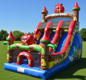T8-8102 Angry Birds Theme Inflatable Dry Slide
