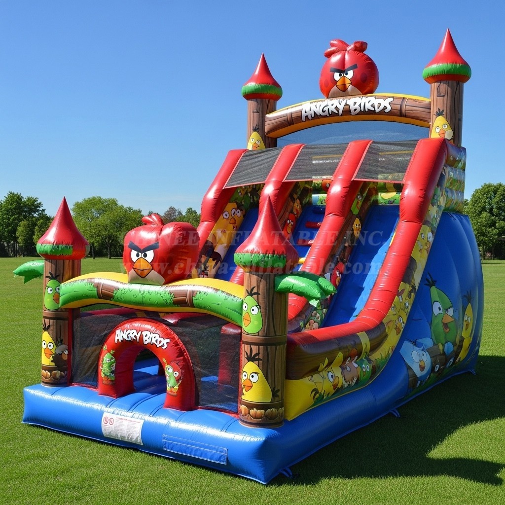 T8-8102 Angry Birds Theme Inflatable Dry Slide