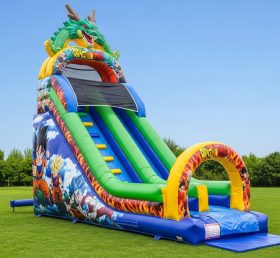 T8-8165 Dragon Ball Theme Inflatable Dry Slide