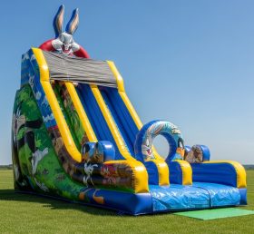 T8-8205 Looney Tunes Theme Inflatable Dry Slide