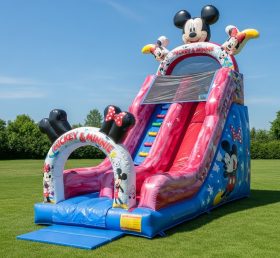 T8-8214 Mickey & Minnie Theme Inflatable Dry Slide