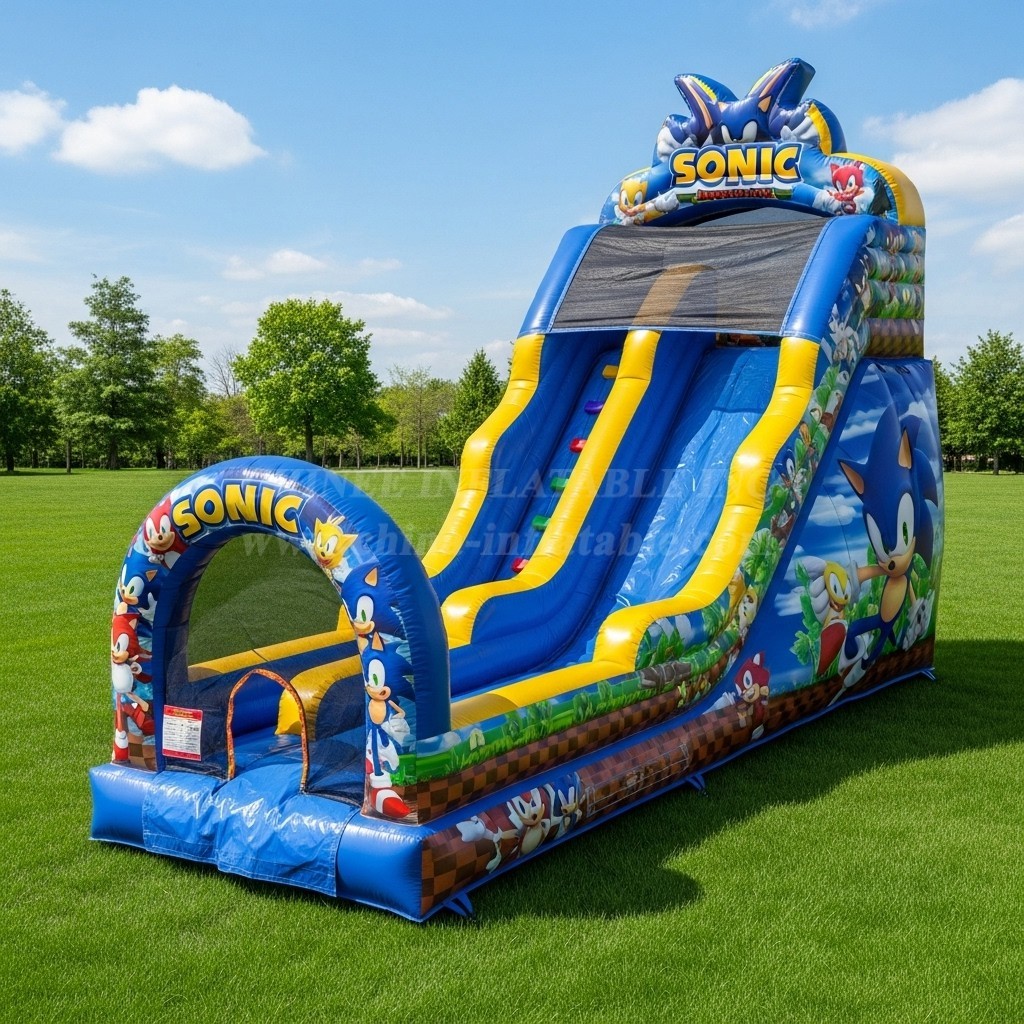 T8-8298 Sonic Theme Inflatable Dry Slide