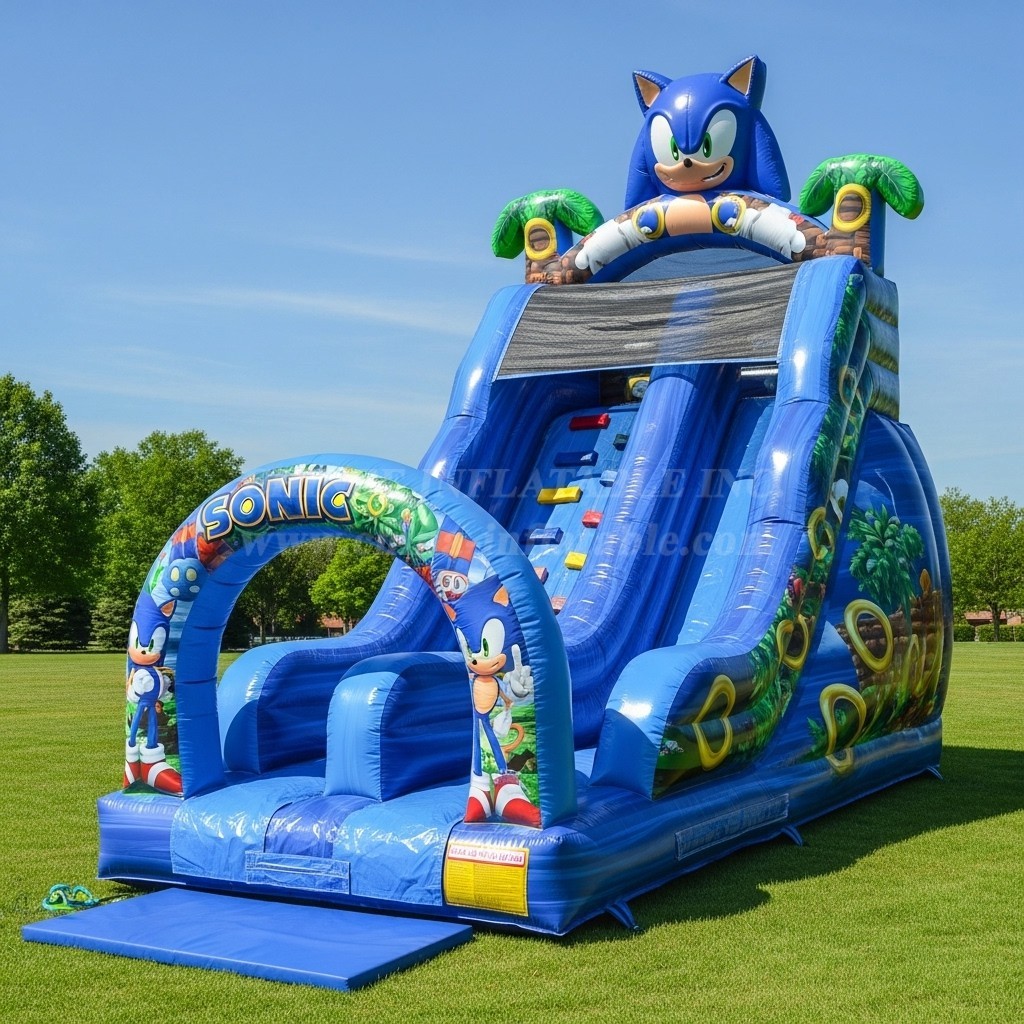 T8-8303 Sonic Theme Inflatable Dry Slide