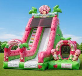 T8-8320 Strawberry Shortcake Theme Inflatable Dry Slide