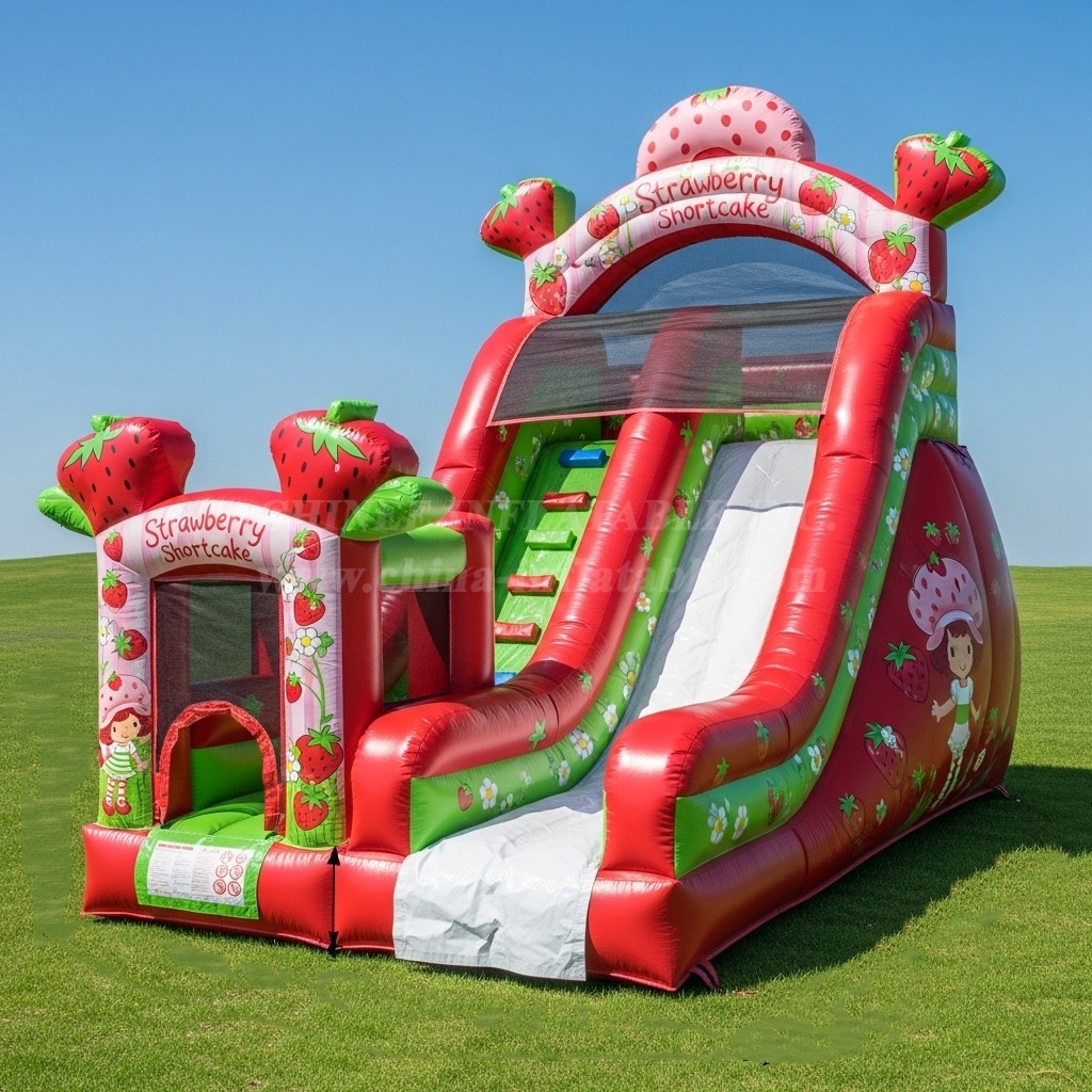T8-8321 Strawberry Shortcake Theme Inflatable Dry Slide