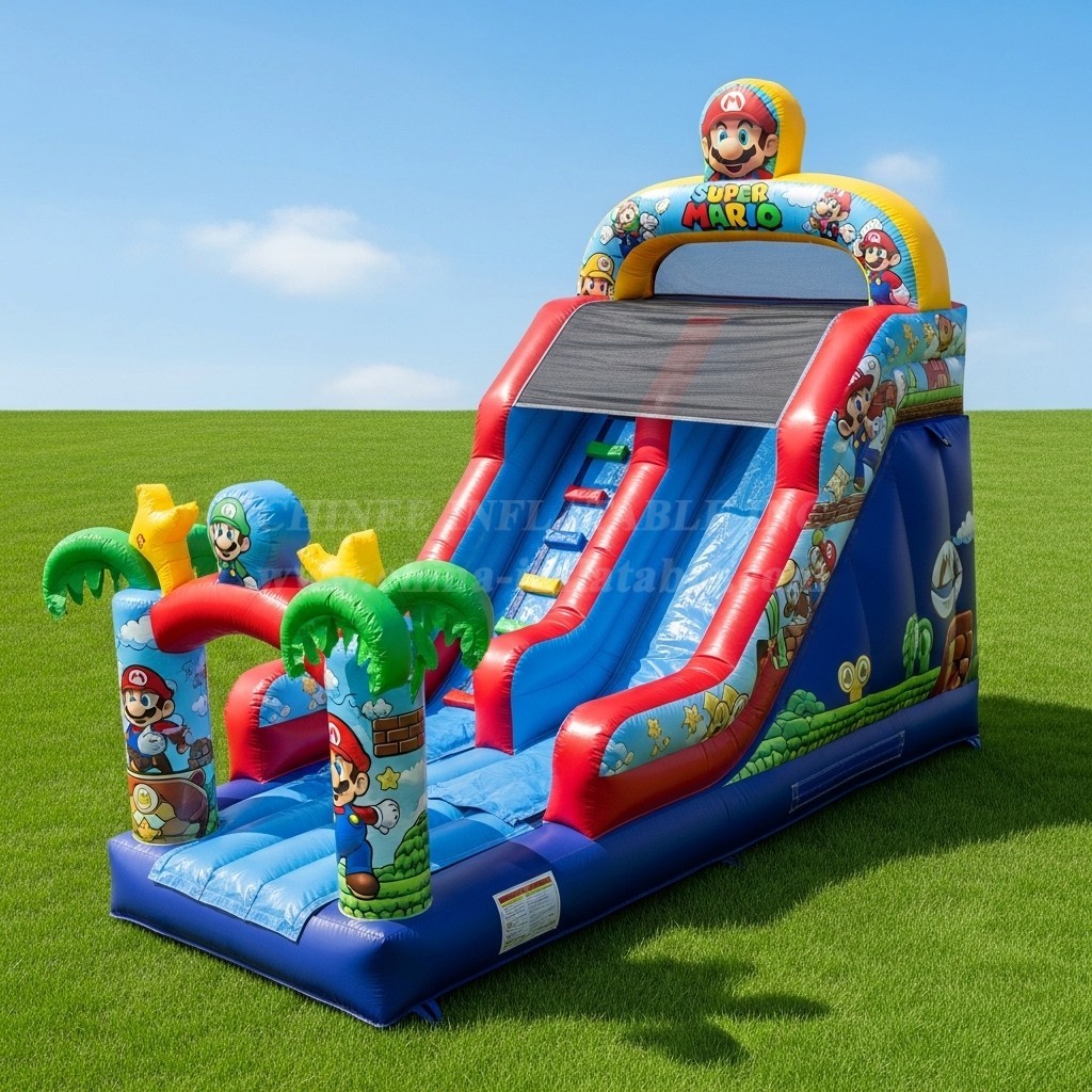 T8-8331 Super Mario Theme Inflatable Dry Slide