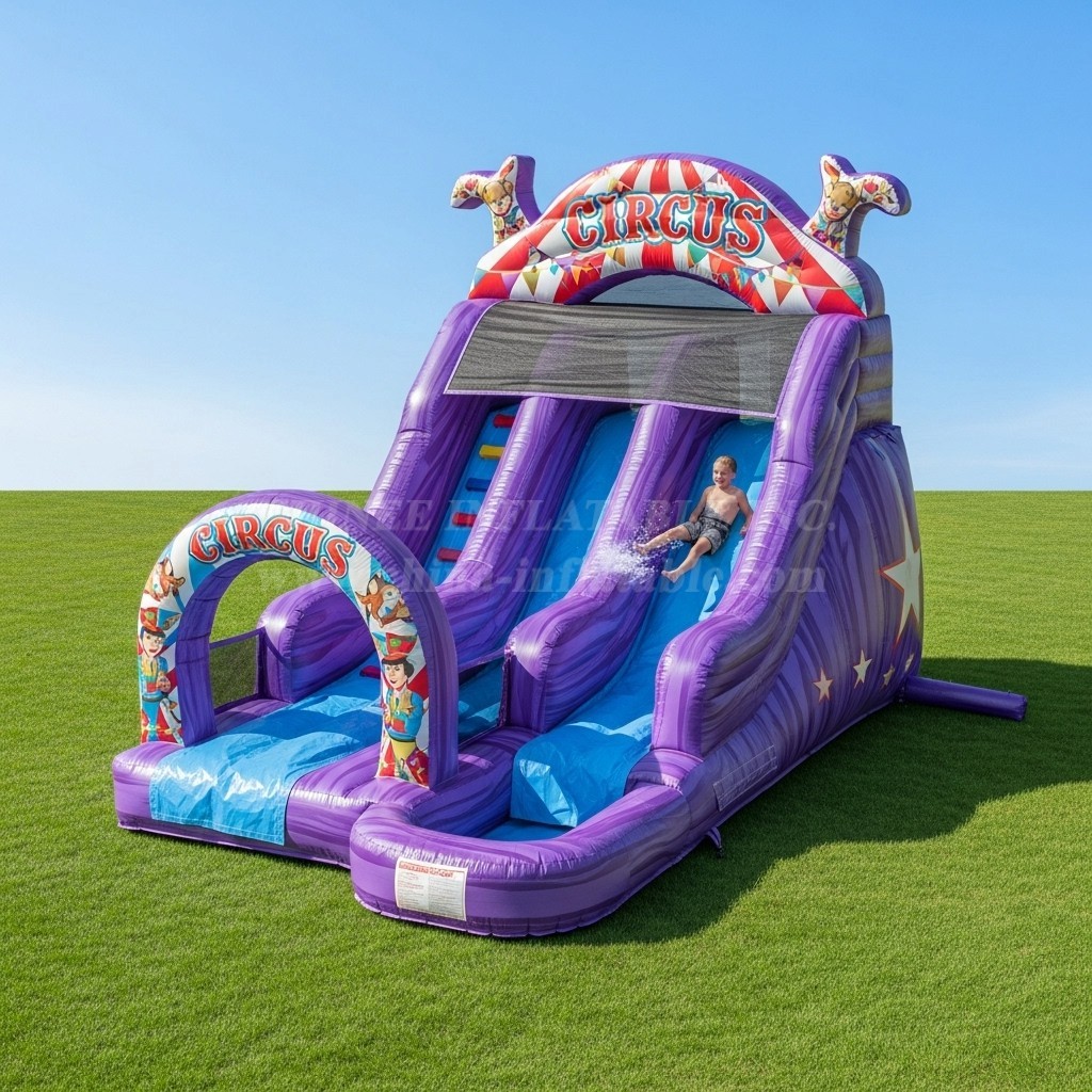 T8-8427 Circus Theme Inflatable Water Slide