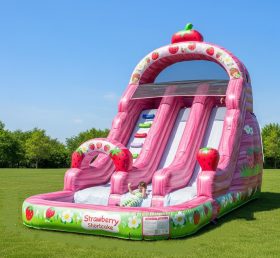 T8-8548 Strawberry Shortcake Theme Inflatable Water Slide