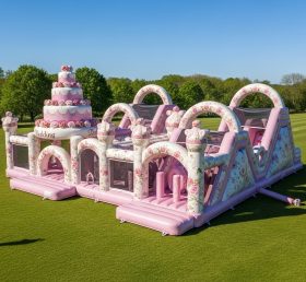 T6-6235 Weddings Inflatable Playground
