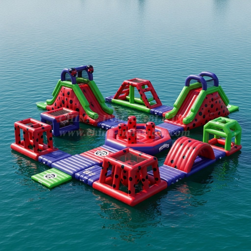 S228 Miraculous Ladybug Theme Inflatable Water Park