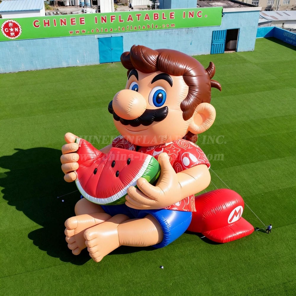 Cartoon3-079 Super Mario Inflatable Cartoons
