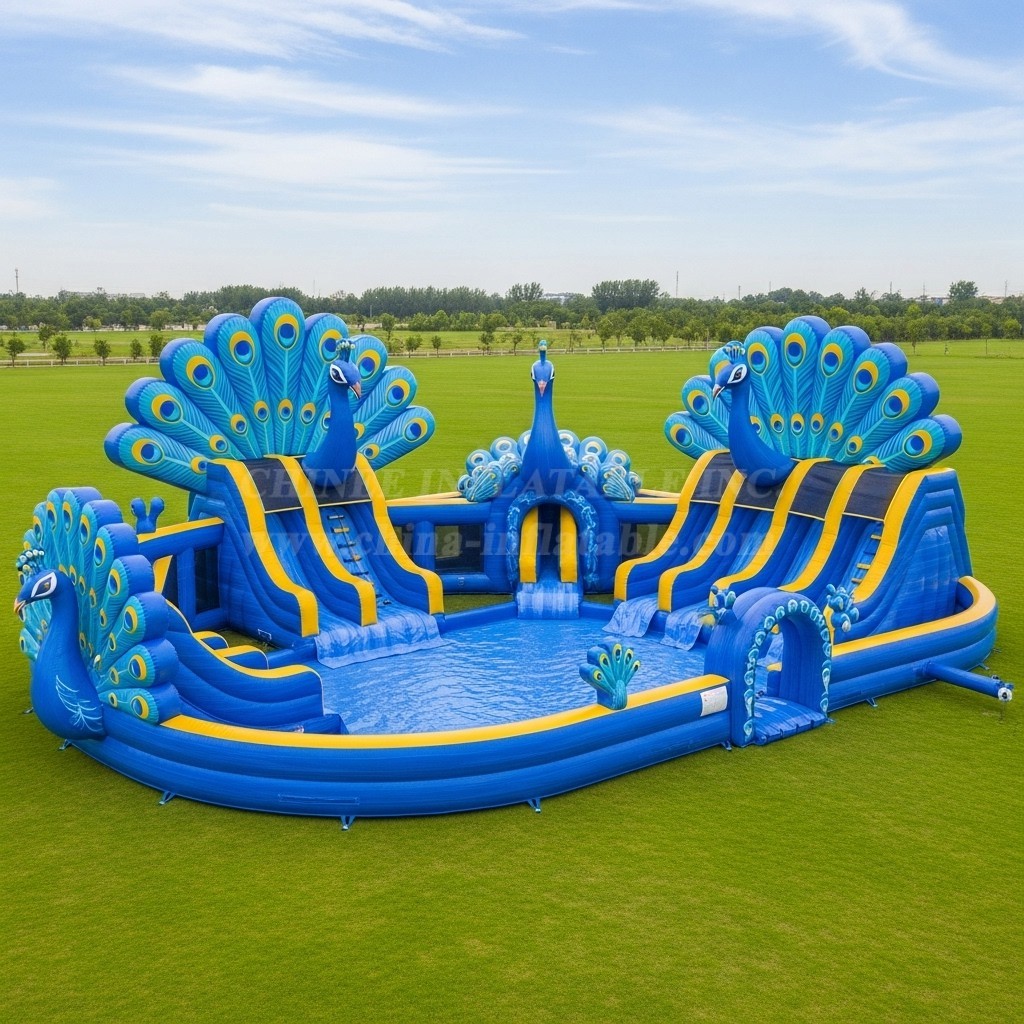 Pool3-506 Peacock Theme Pool Water Park