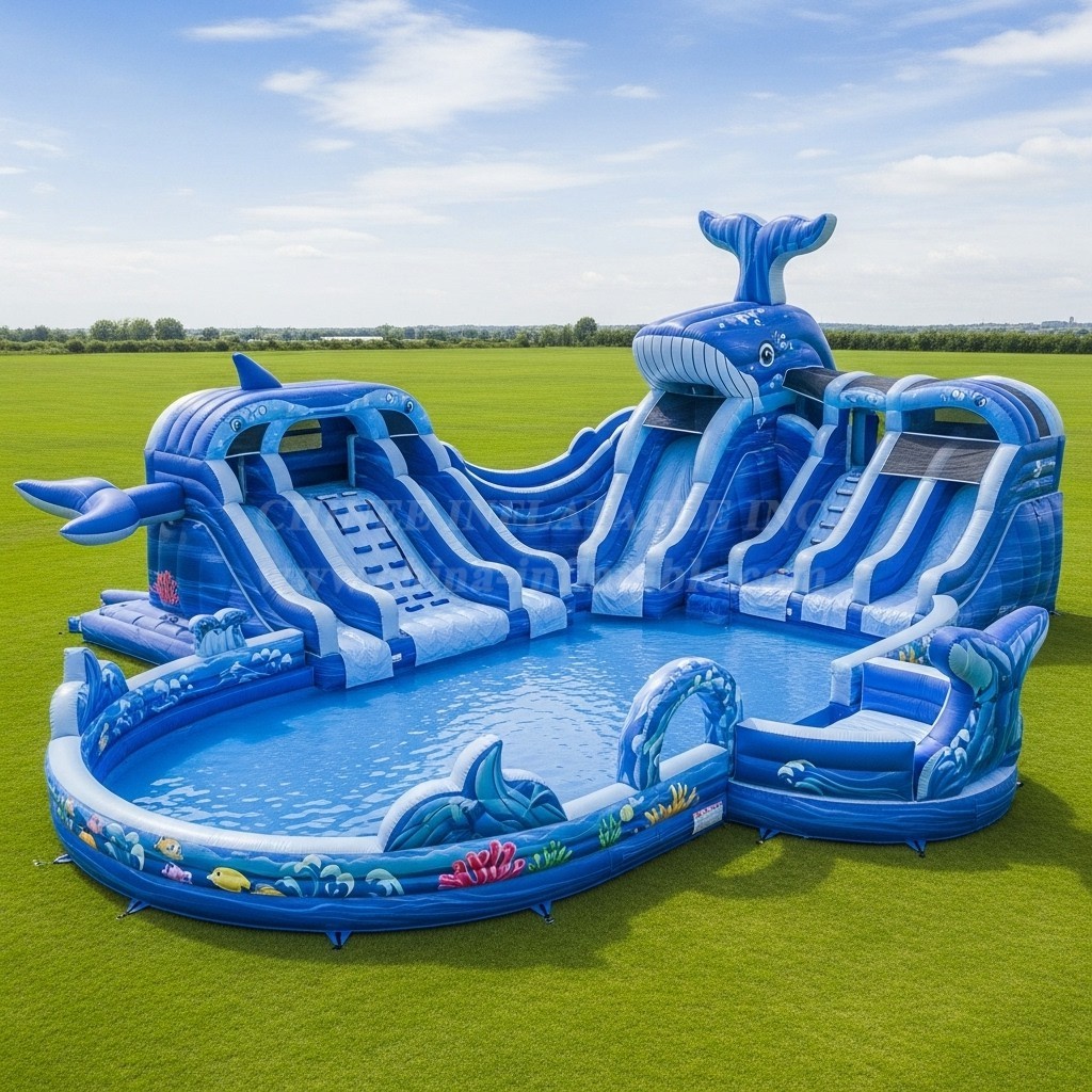 Pool3-545 Whale Theme Pool Water Park