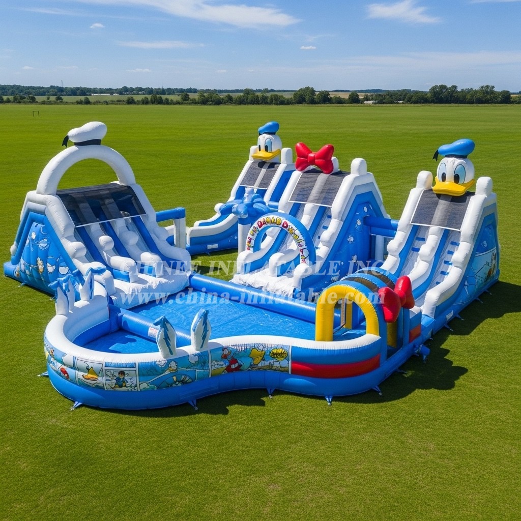 Pool3-593 Donald Duck Theme Pool Water Park