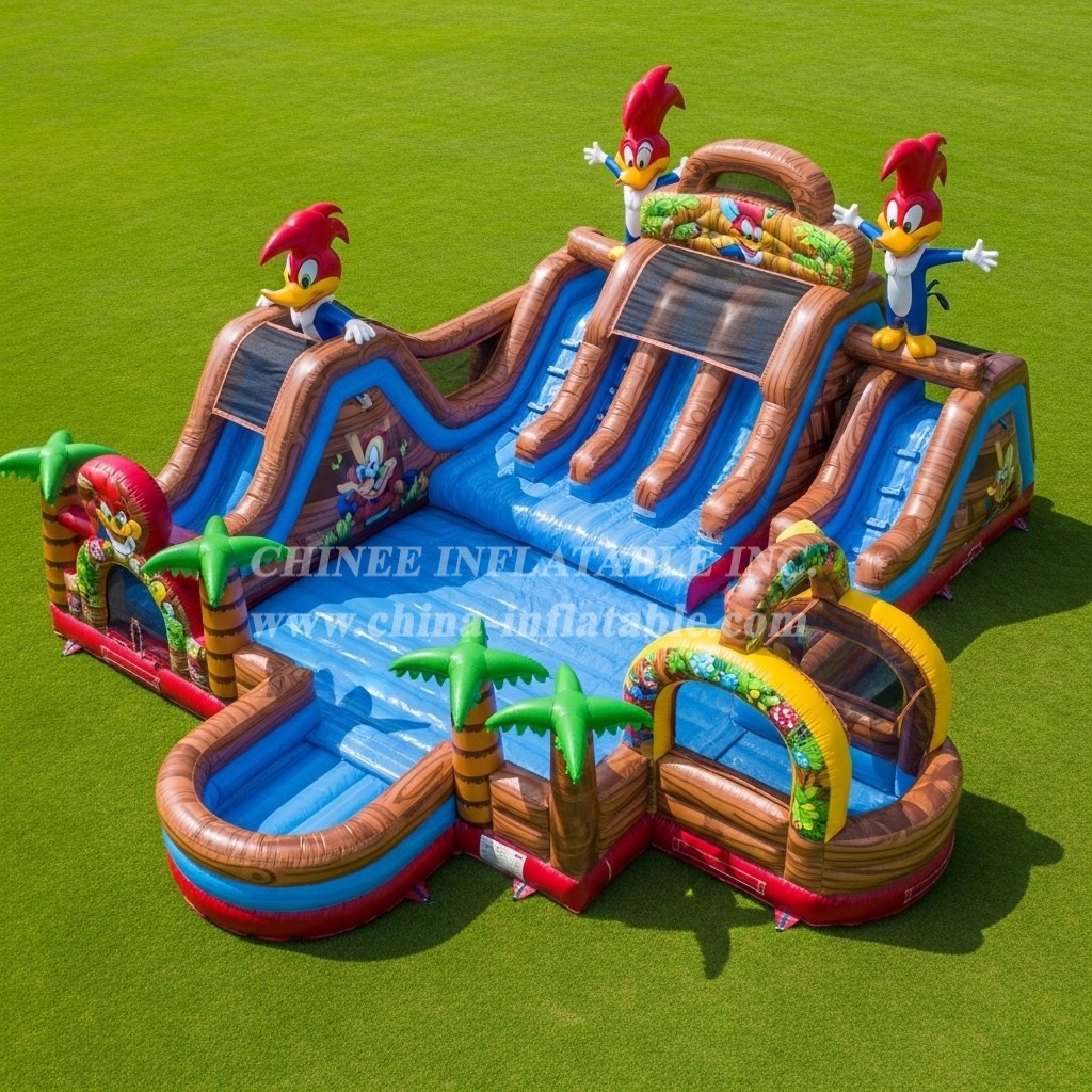 Pool3-739 Woody Woodpecker Theme Pool Water Park
