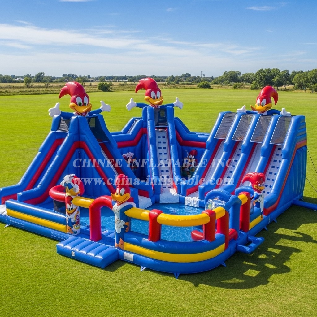 Pool3-740 Woody Woodpecker Theme Pool Water Park