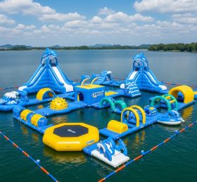 S294 Dolphin Theme Water Park