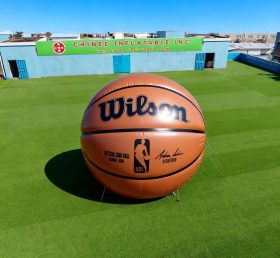 S5-048 Basketball Inflatable Model Product