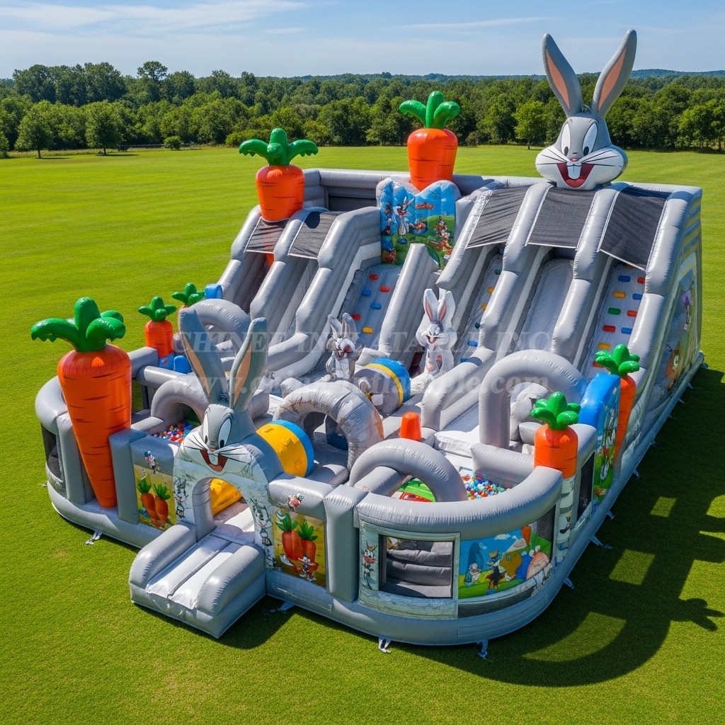 T6-6493 Looney Tunes Theme Inflatable Funcity