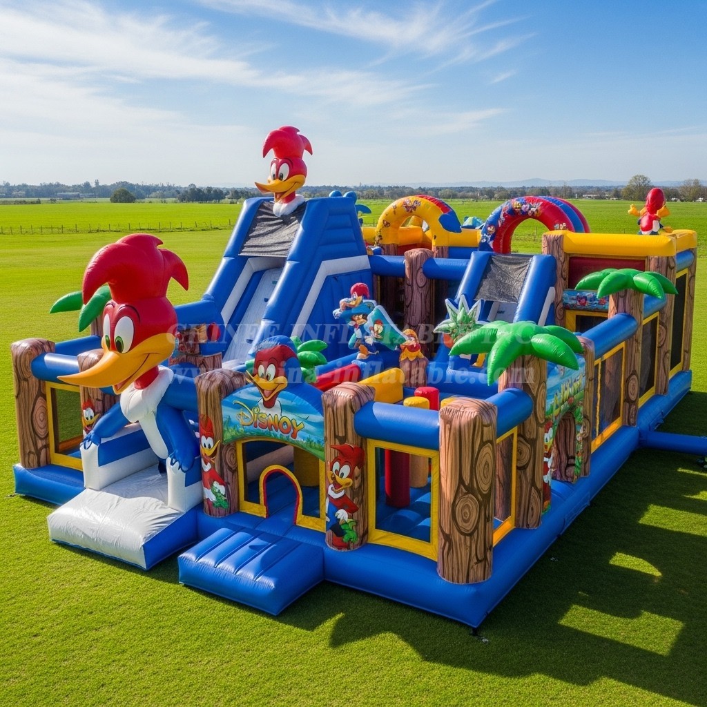 T6-6662 Woody Woodpecker Theme Inflatable Funcity