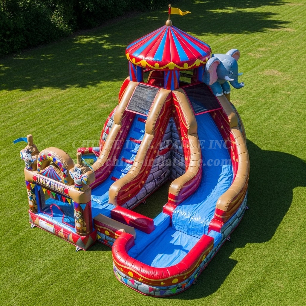 T8-5496 Circus Theme Inflatable Water Slide
