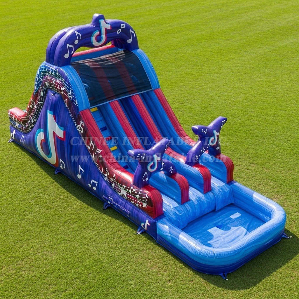 T8-5837 TikTok Theme Inflatable Water Slide