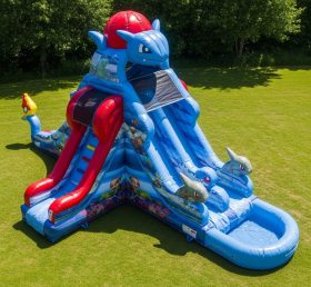 T8-7401 Pokemon Theme Inflatable Water Slide