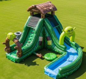 T8-7456 Shrek Theme Inflatable Water Slide