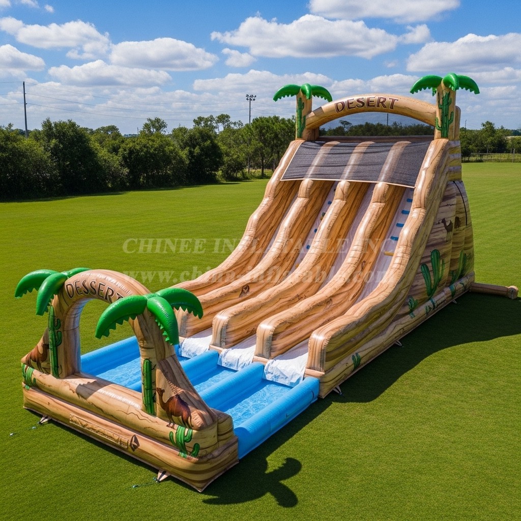 T8-7655 Desert Theme Giant Slide