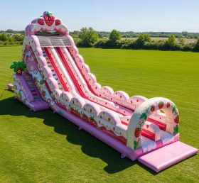 T8-8802 Strawberry Inflatable Slide
