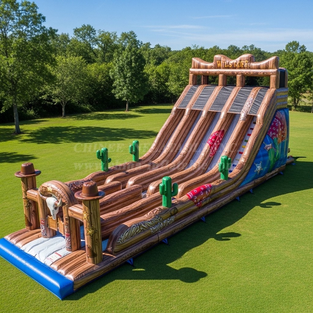 T8-8928 Wild West Theme Giant Slide