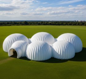 Tent1-6212 White Dome Cluster Inflatable Dome