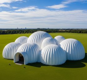 Tent1-6231 White Dome Cluster Inflatable Dome