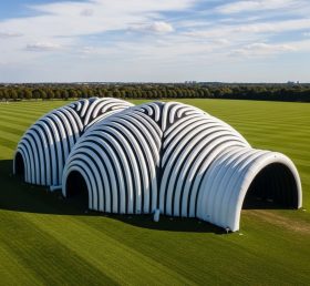 Tent1-6256 Arched Tunnel Inflatable Dome