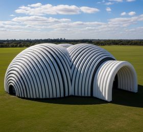 Tent1-6265 Stripe Arched Tunnel Inflatable Dome