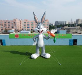 Cartoon3-802 Looney Tunes Theme Inflatable Cartoon