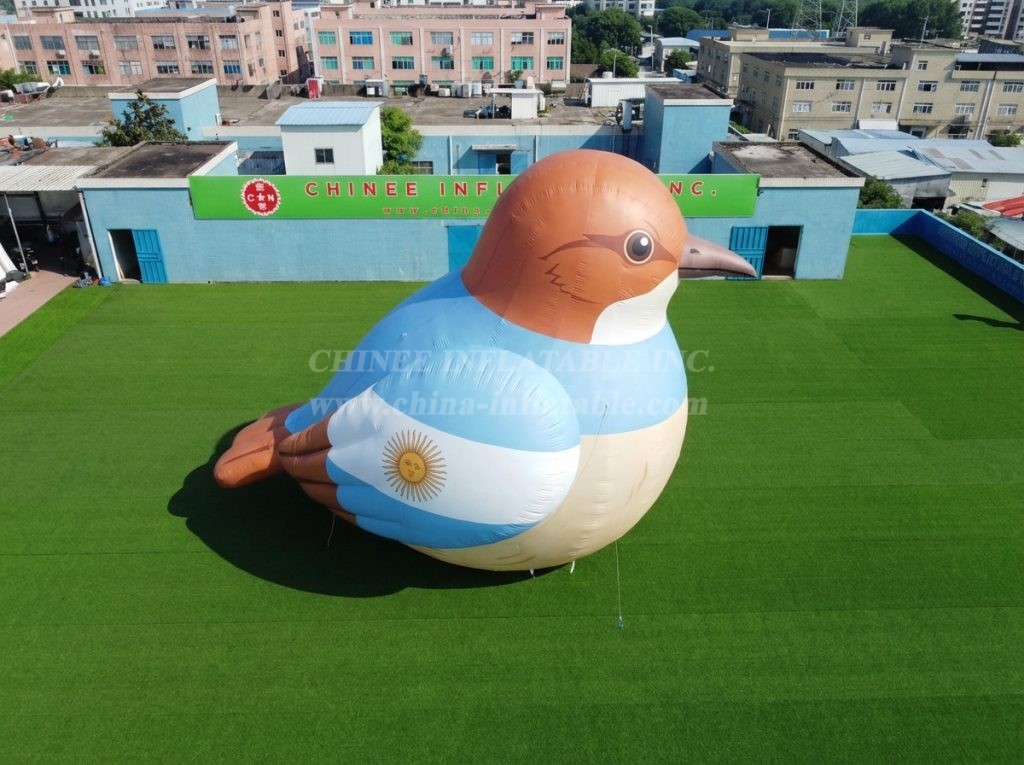 Cartoon3-899 Argentina Theme Inflatable Cartoon