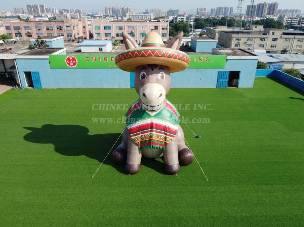 Cartoon3-941 Mexico Theme Inflatable Cartoon