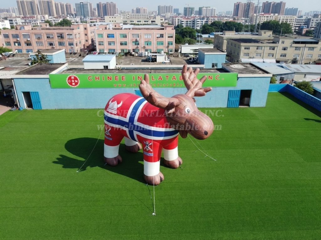 Cartoon3-944 Norway Theme Inflatable Cartoon