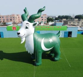 Cartoon3-948 Pakistan Theme Inflatable Cartoon