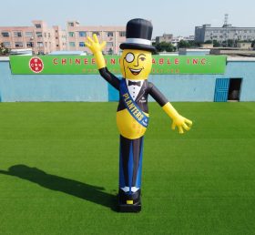 D3-75 Planters Air Dancer