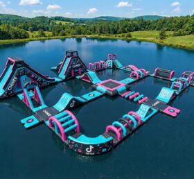 S828 TikTok Theme Inflatable Water Park